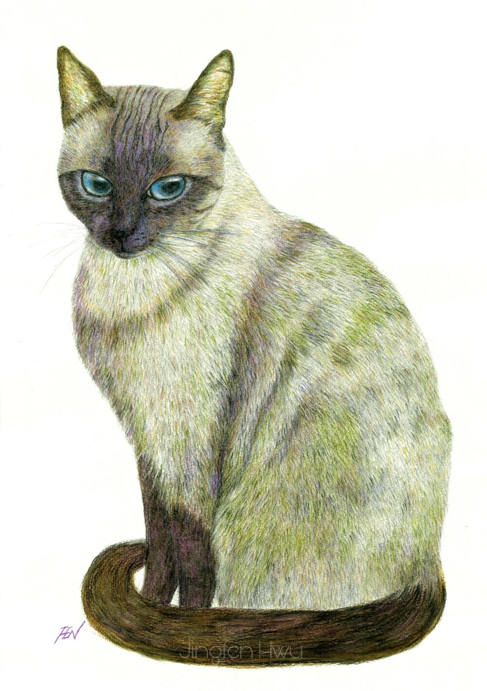 A Thinking Siamese