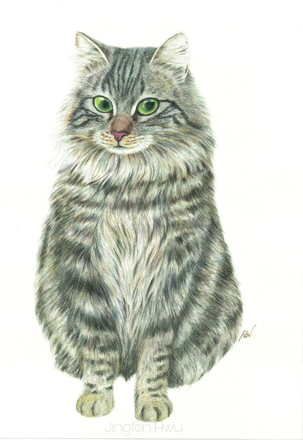 A Furry Cat by Jingfen Hwu