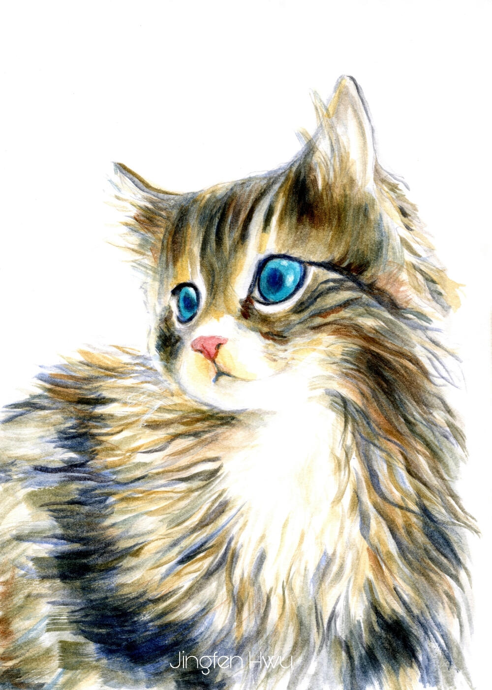 A Furry Kitten